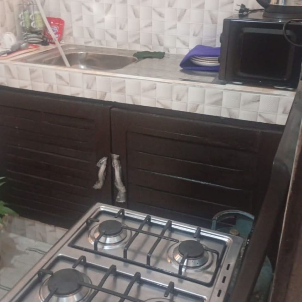 appartement 1 pièce 