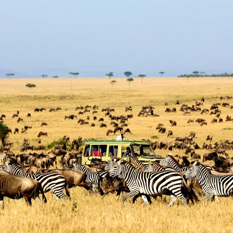 Great Migration