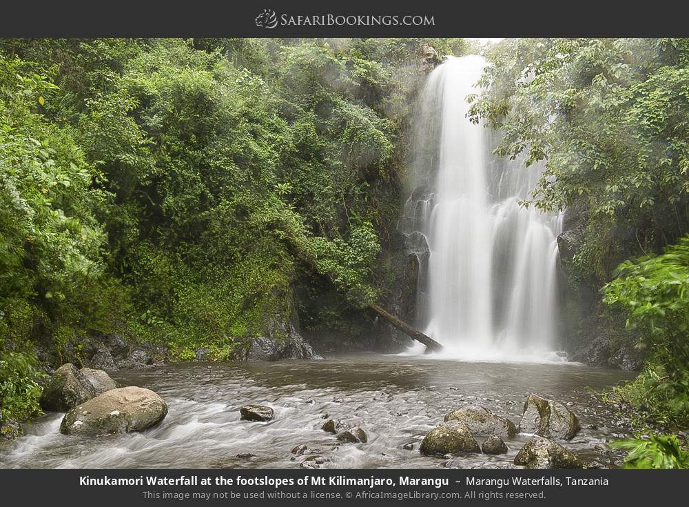1-Day Materuni Waterfalls, Coffee& Kikuletwa Hot Springs