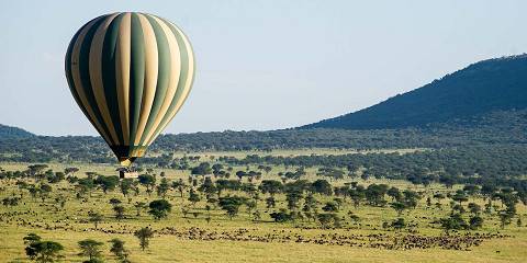 1-Day Hot Air Ballon Safari at Tarangire National Park