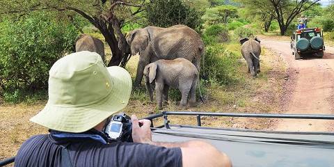 1-Day Trip Tour - Lake Manyara