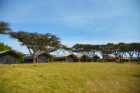 Ngorongoro Kuhama Camp - Image 1