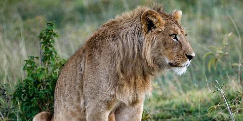 3-Day Cultural Tour (Manyara, Eyasi & Ngorongoro Crater)