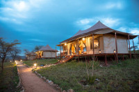 Matawi Serengeti Camp - Image 1