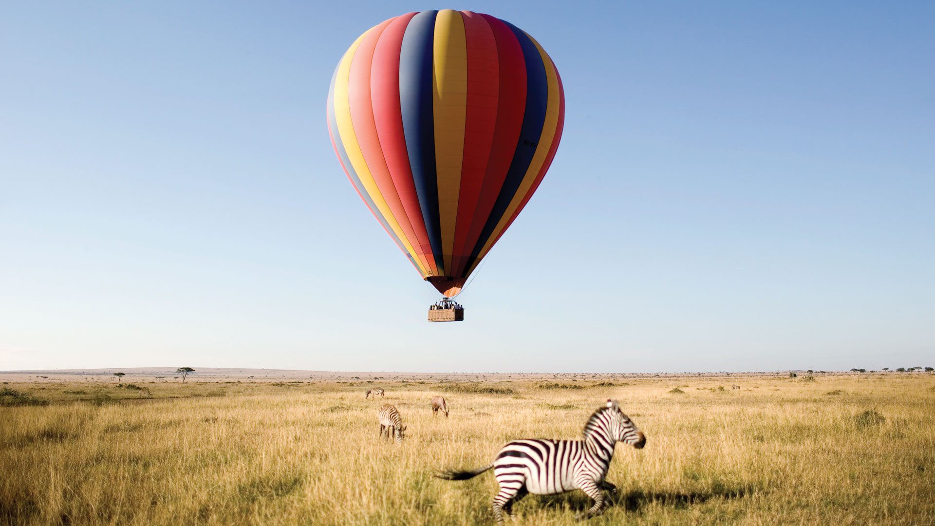 3-Day Wonderful Safari Serengeti and Ngorongoro