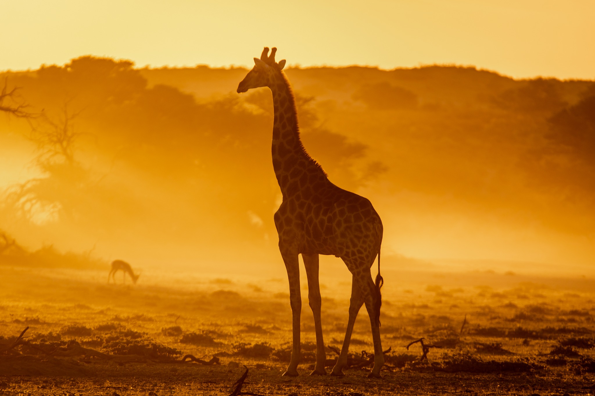 1-Day Unleash the Wild Nyerere National Park Trip