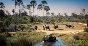 chibe national park
