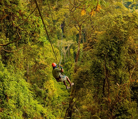Ziplining in Nyungwe NP