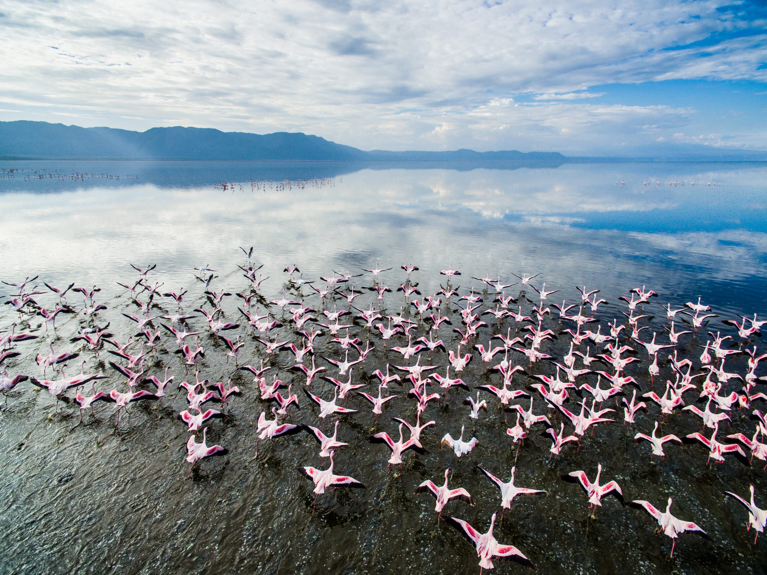 Bird Watching in Lake Manyara NP