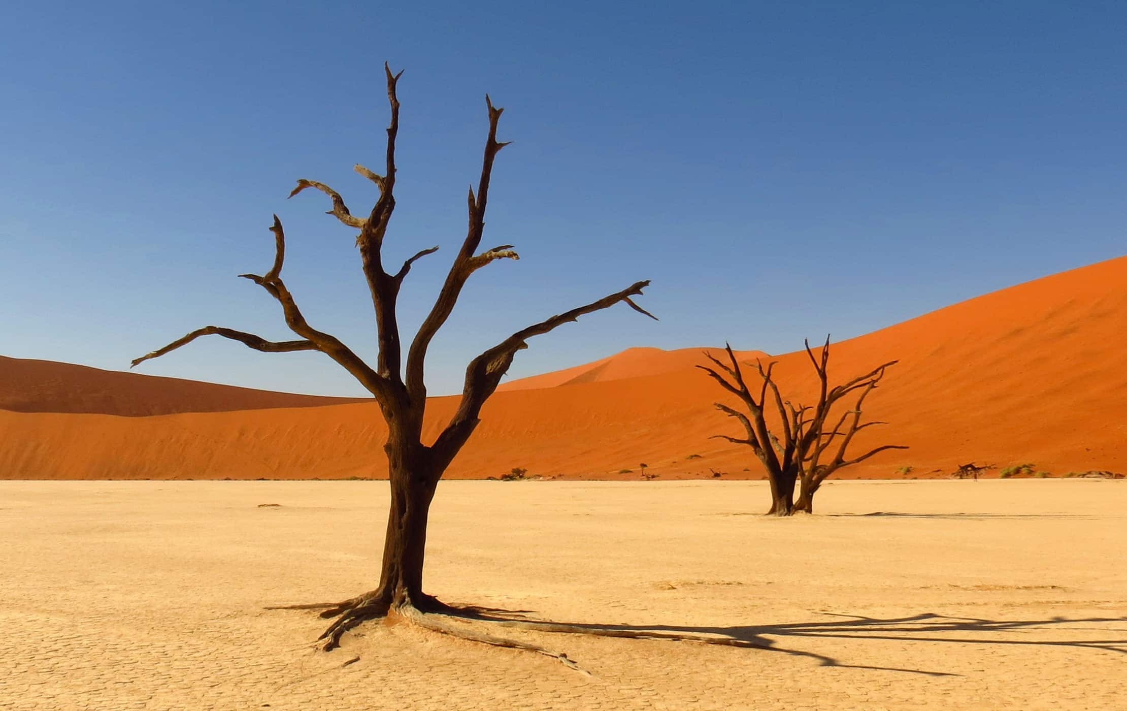 Kalahari Desert in Namibia