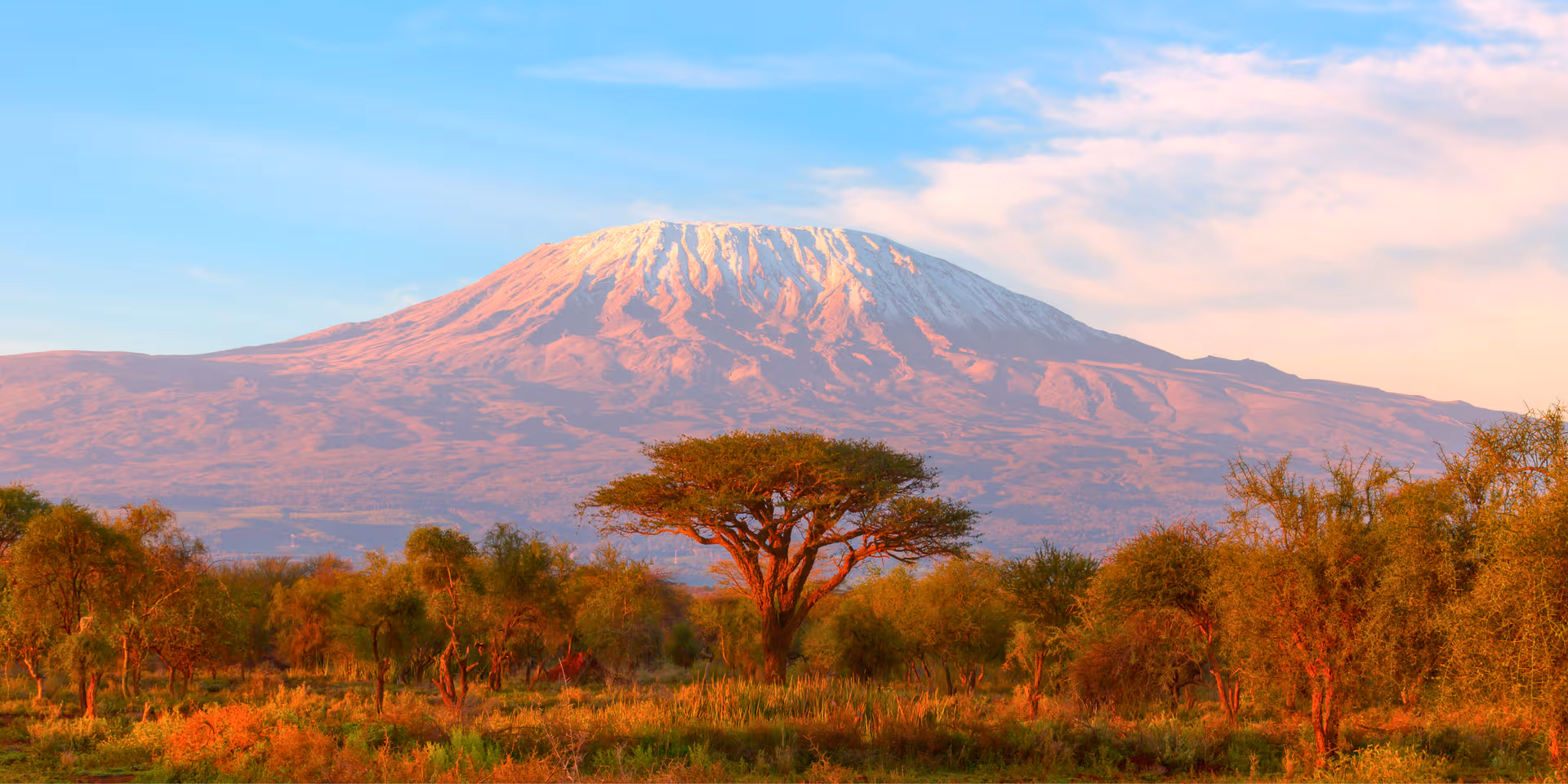 Kilimanjaro Northern Circuit - 9 Day Climb