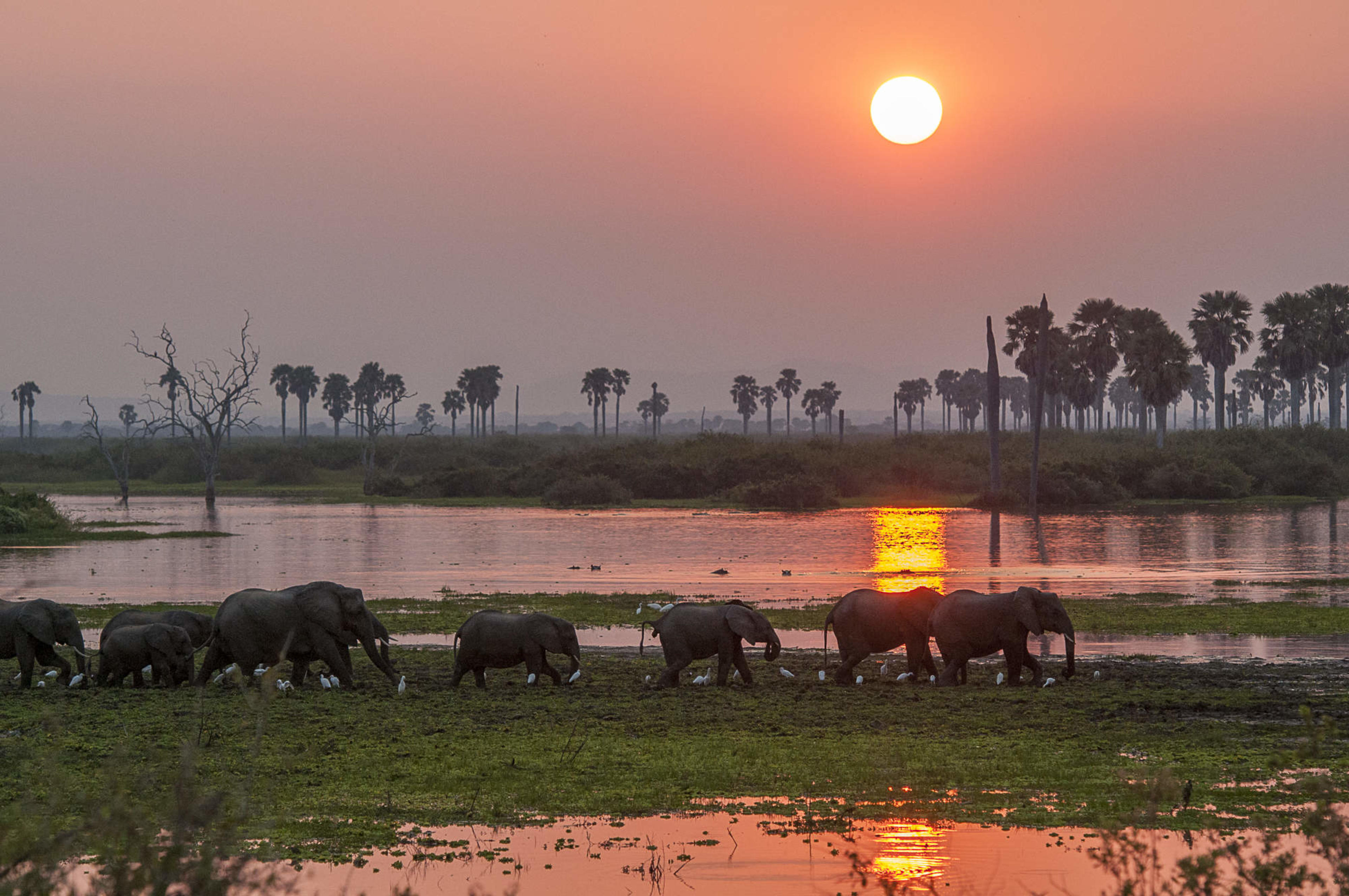 Nyerere National Park Overview