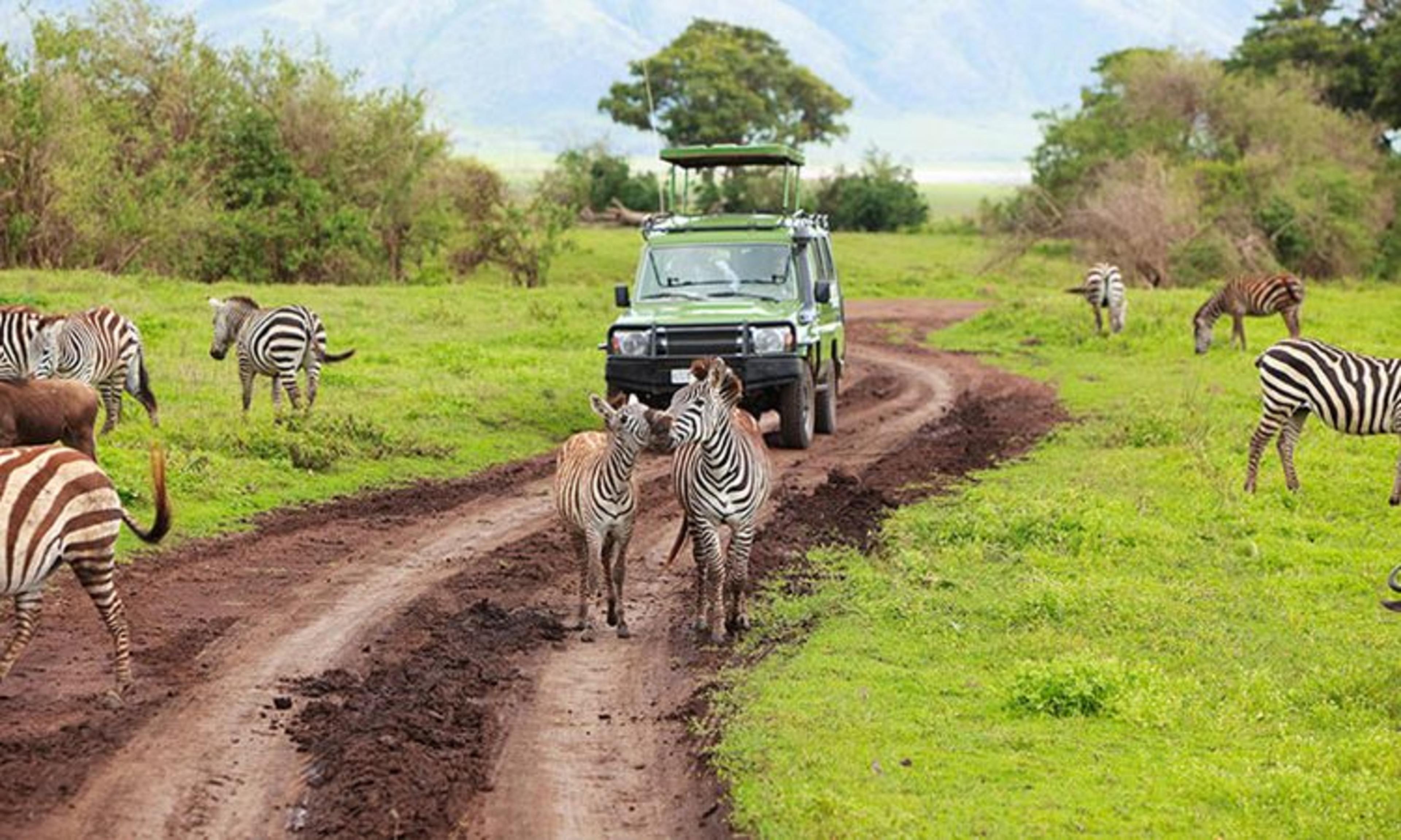 Arusha National Park Overview