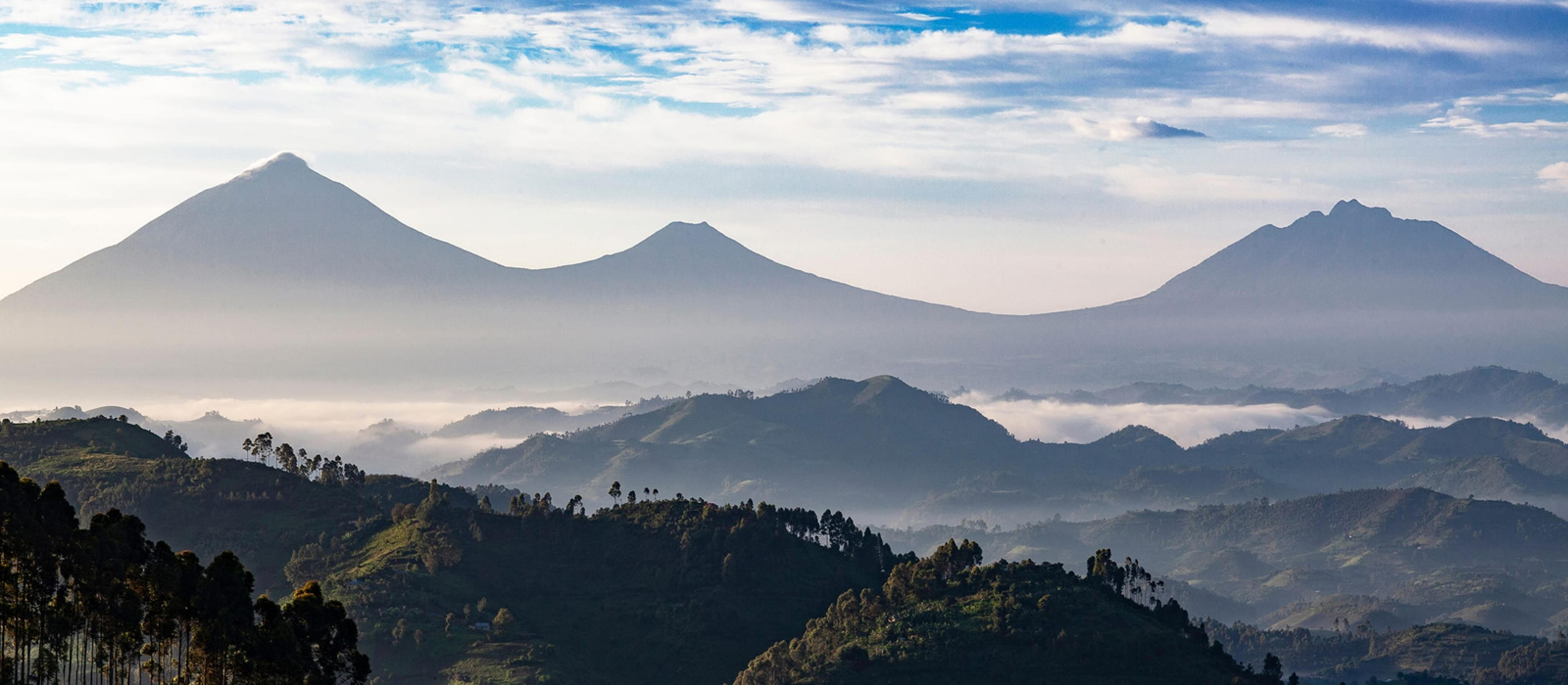 Volcanoes National Park, Rwanda