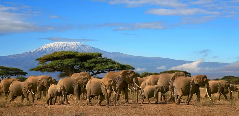 Planning Your Kilimanjaro Climb? Here's Your Complete Route Guide with mt Kilimanjaro Maps