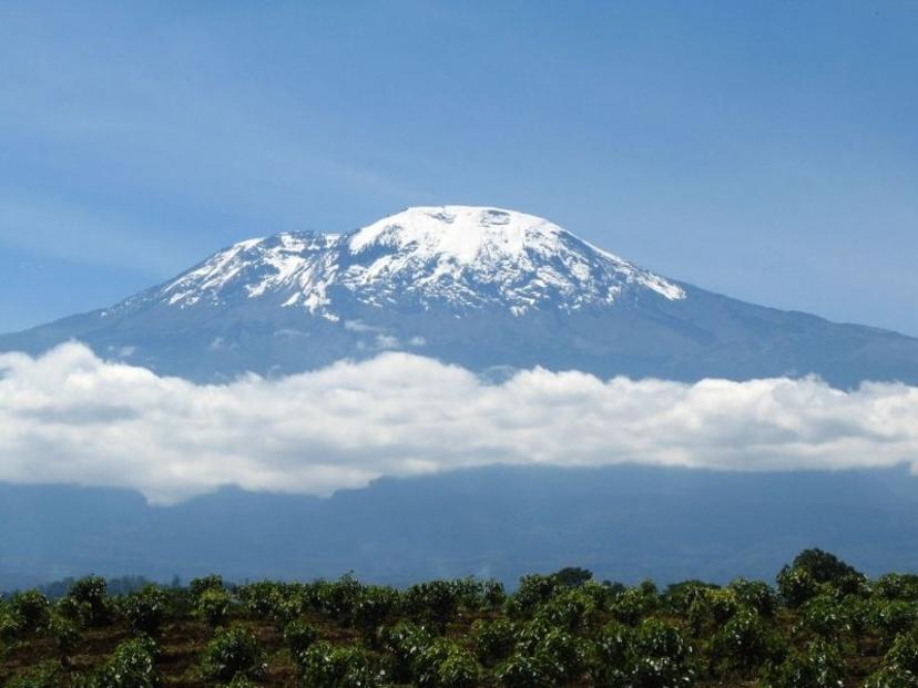 Breaking Down Your Kilimanjaro Climbing Cost in 2026.