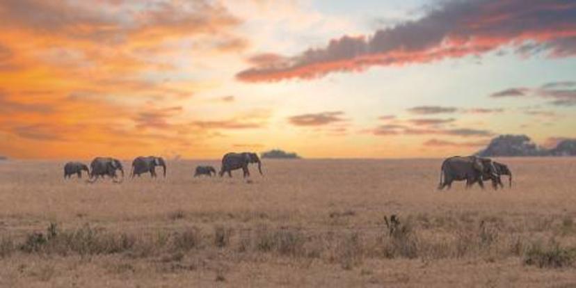 2-Day Hot Air Ballon Safari-Tarangire