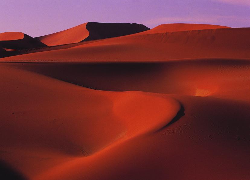 10 facts about the Kalahari Desert