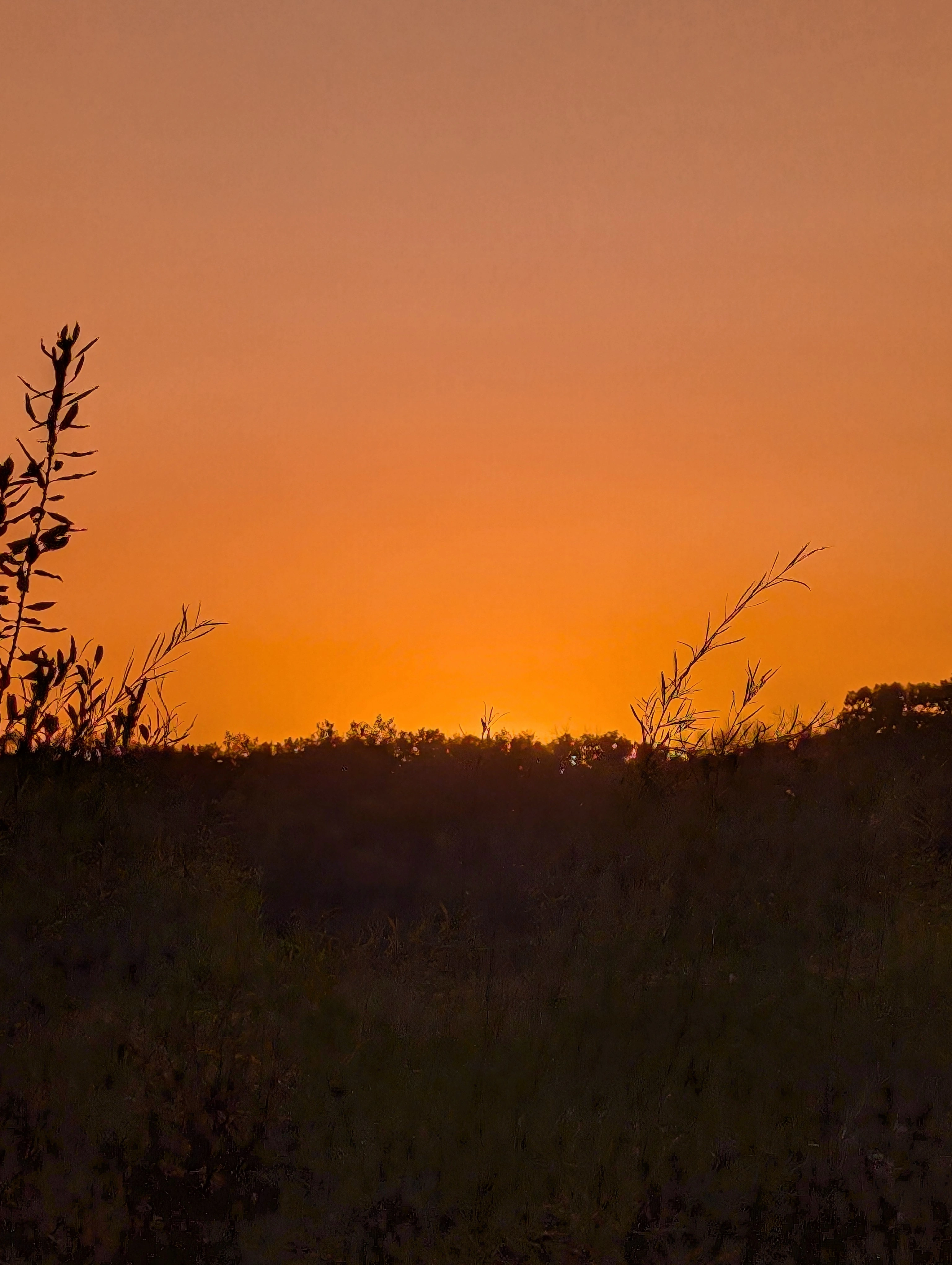Sunsets