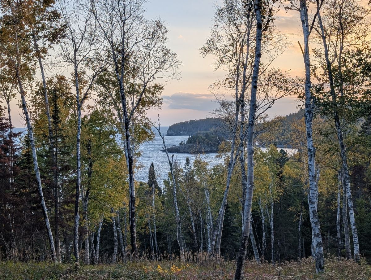 Cool little picture I took during my trip to Northern Minnesota in October, 2025. 