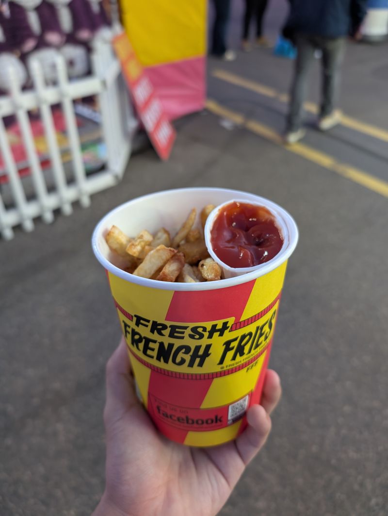 FRENCH FRIES AT MN STATE FAIR