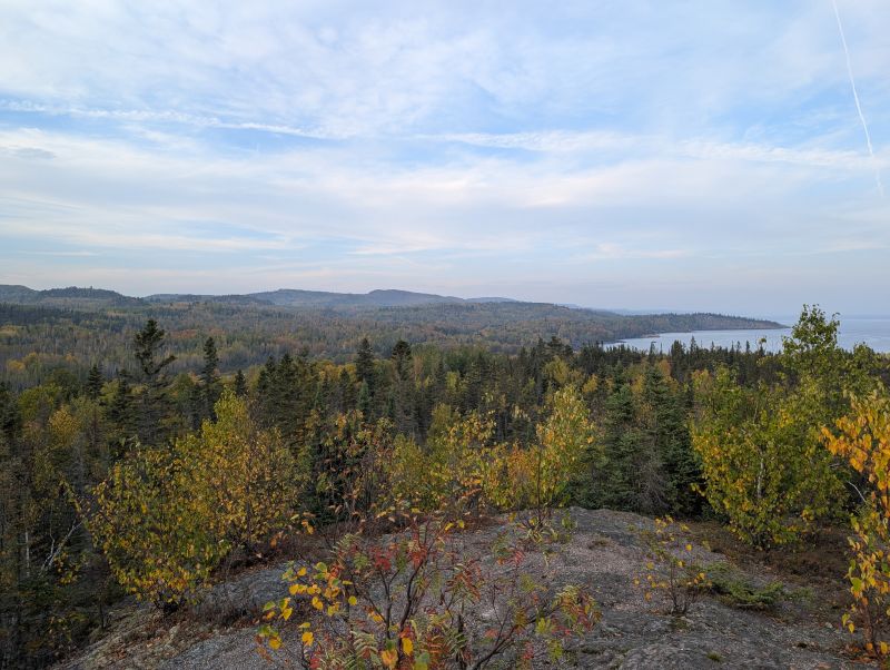 Raw nature (no homo)