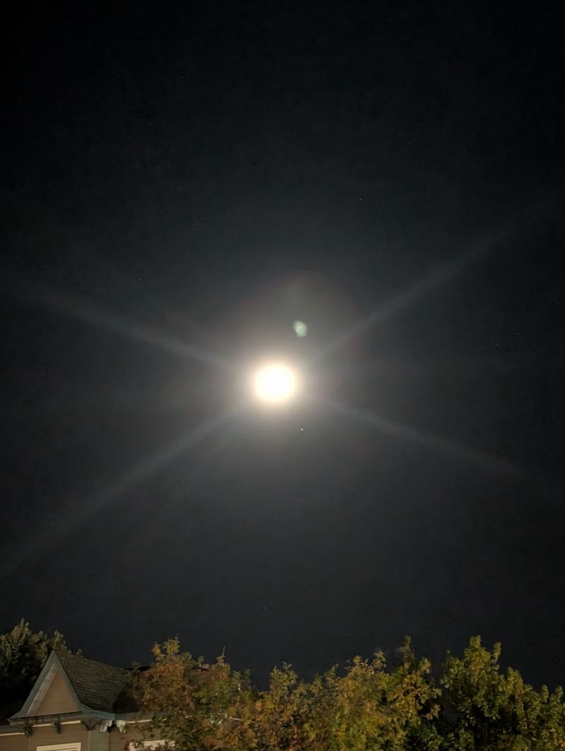 The moon is beautiful, isn't it?