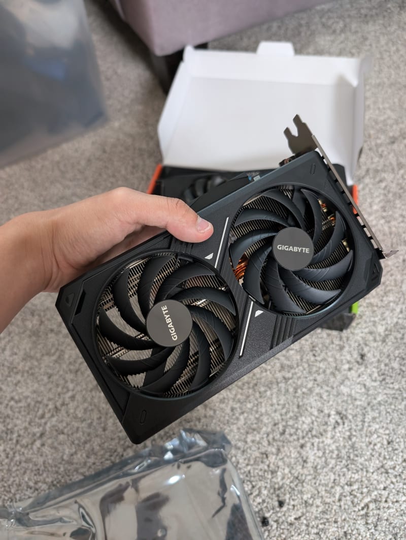 The actual insemination process The actual insemination process