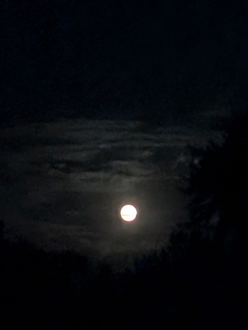 June 10 | The Moon is beautiful, isn't it? 