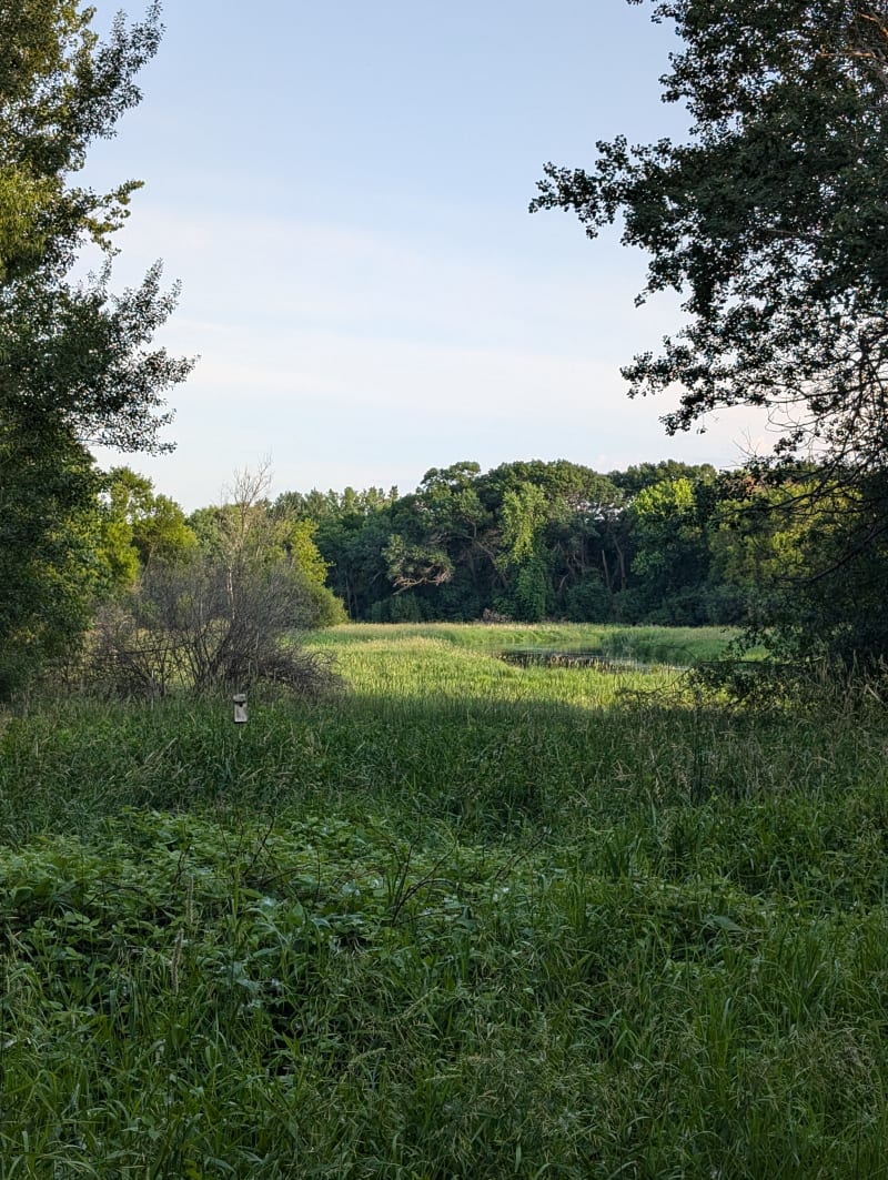 June 21 | Trail beauty