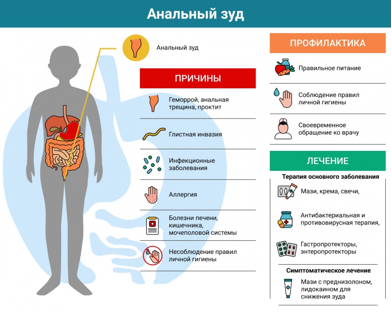 Чешется заднем проходе у женщин лечение