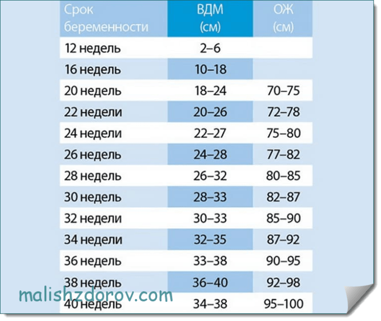 Срок по неделям