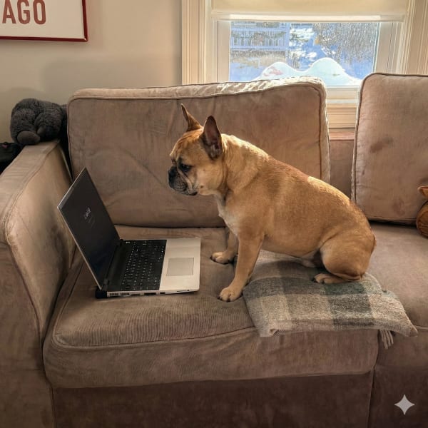 Train your AI like a dog post thumbnail