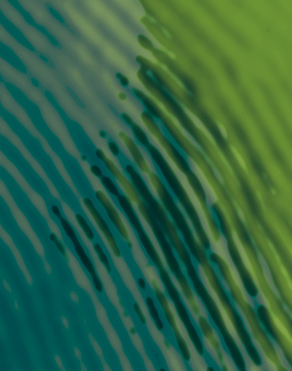 Green fingerprint pattern