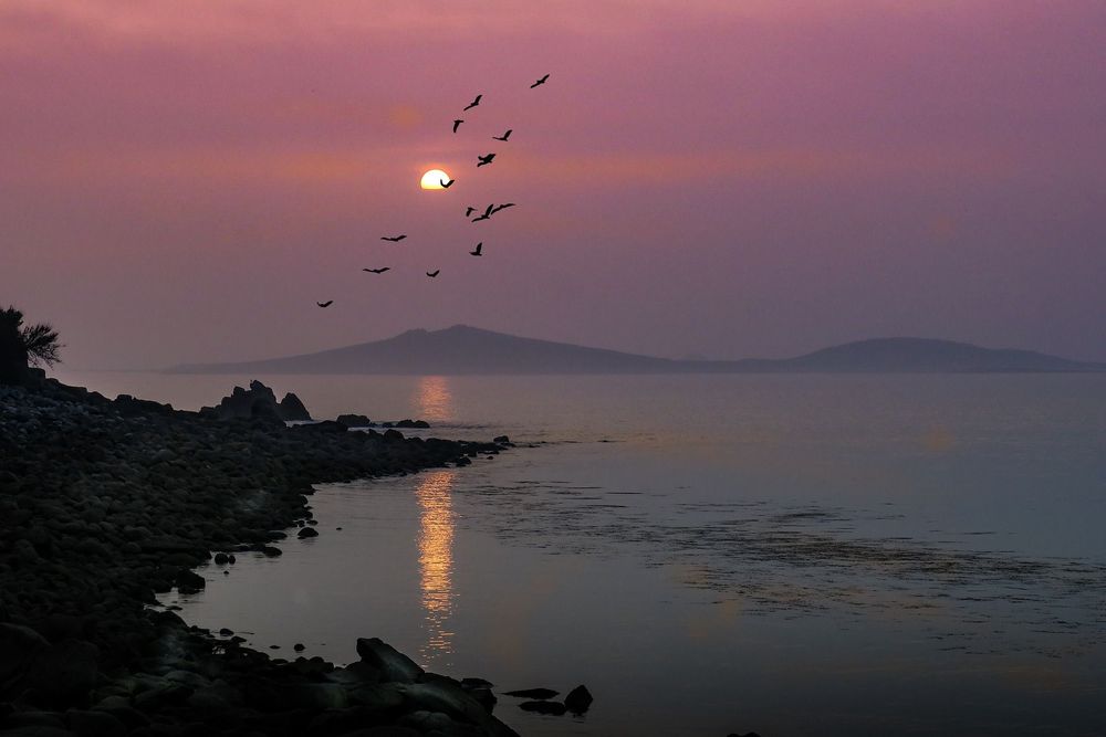 Contact Shamrock Accommodation Isles of Scilly