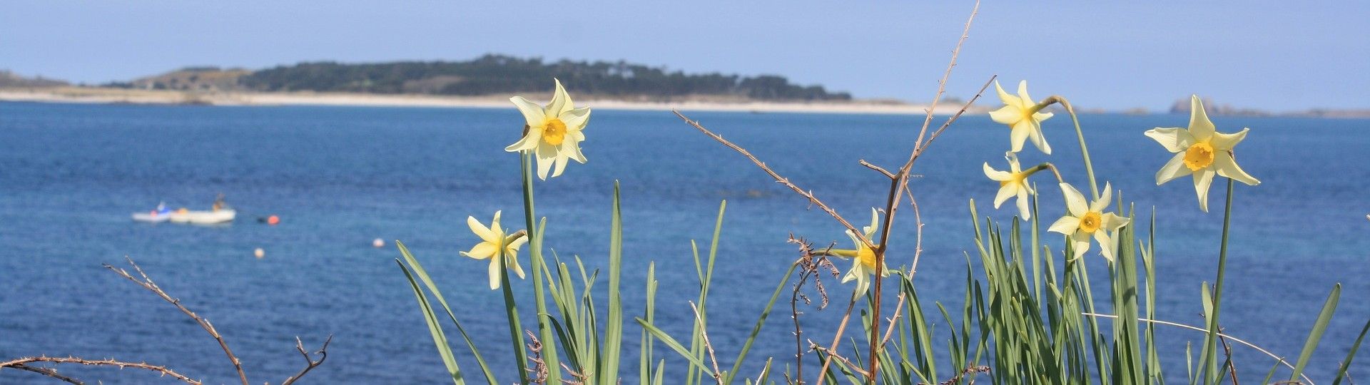 Contact Shamrock Accommodation Isles of Scilly