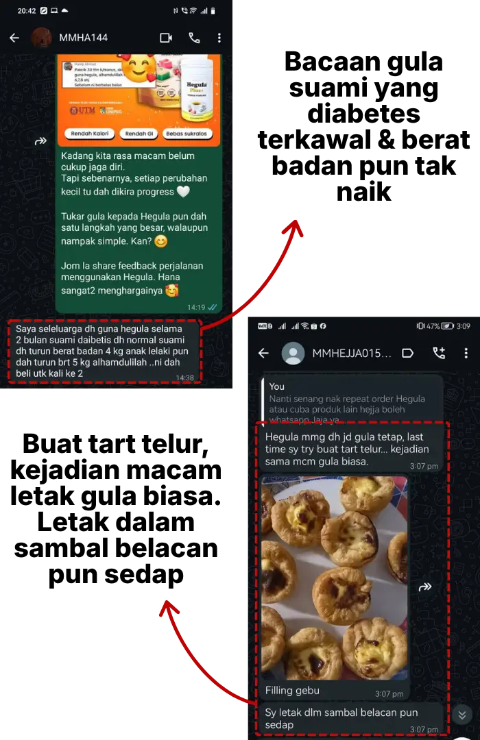 Testimoni Pengguna Hegula 1