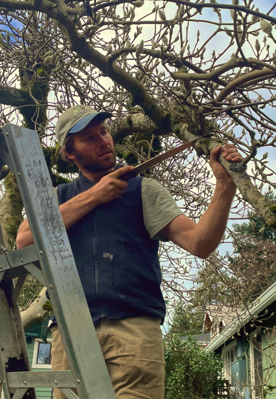 Anthony Pruning