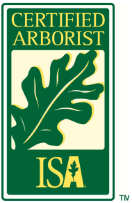 certified arborist icon