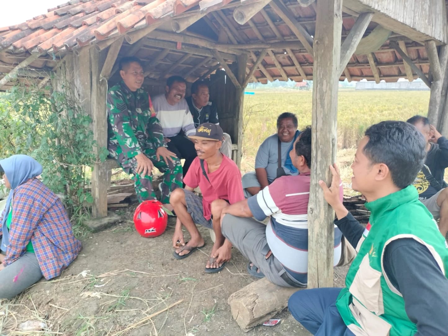 Babinsa Serka Hasrul Dorong Petani Desa Sanca Sukseskan Panen Raya dan Percepatan Tanam