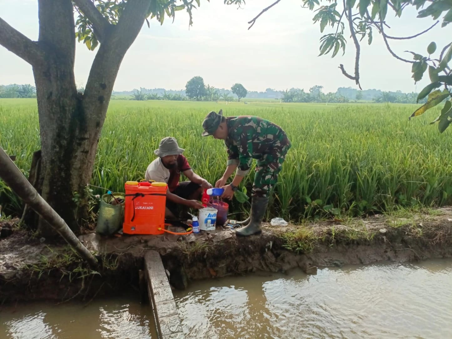 Babinsa Serda Seoulistiyo Setiawan Dampingi Petani Semprot Nutrisi Padi di Desa Jatimulya