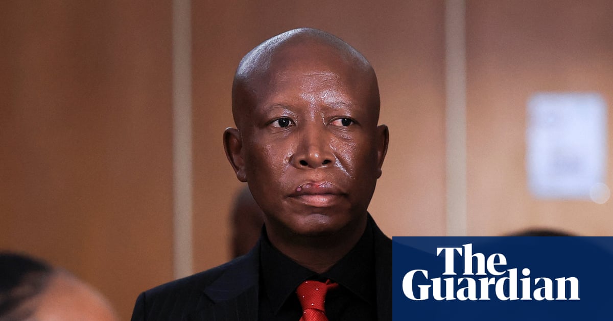 South African politician Julius Malema given five-year jail term for gun offence