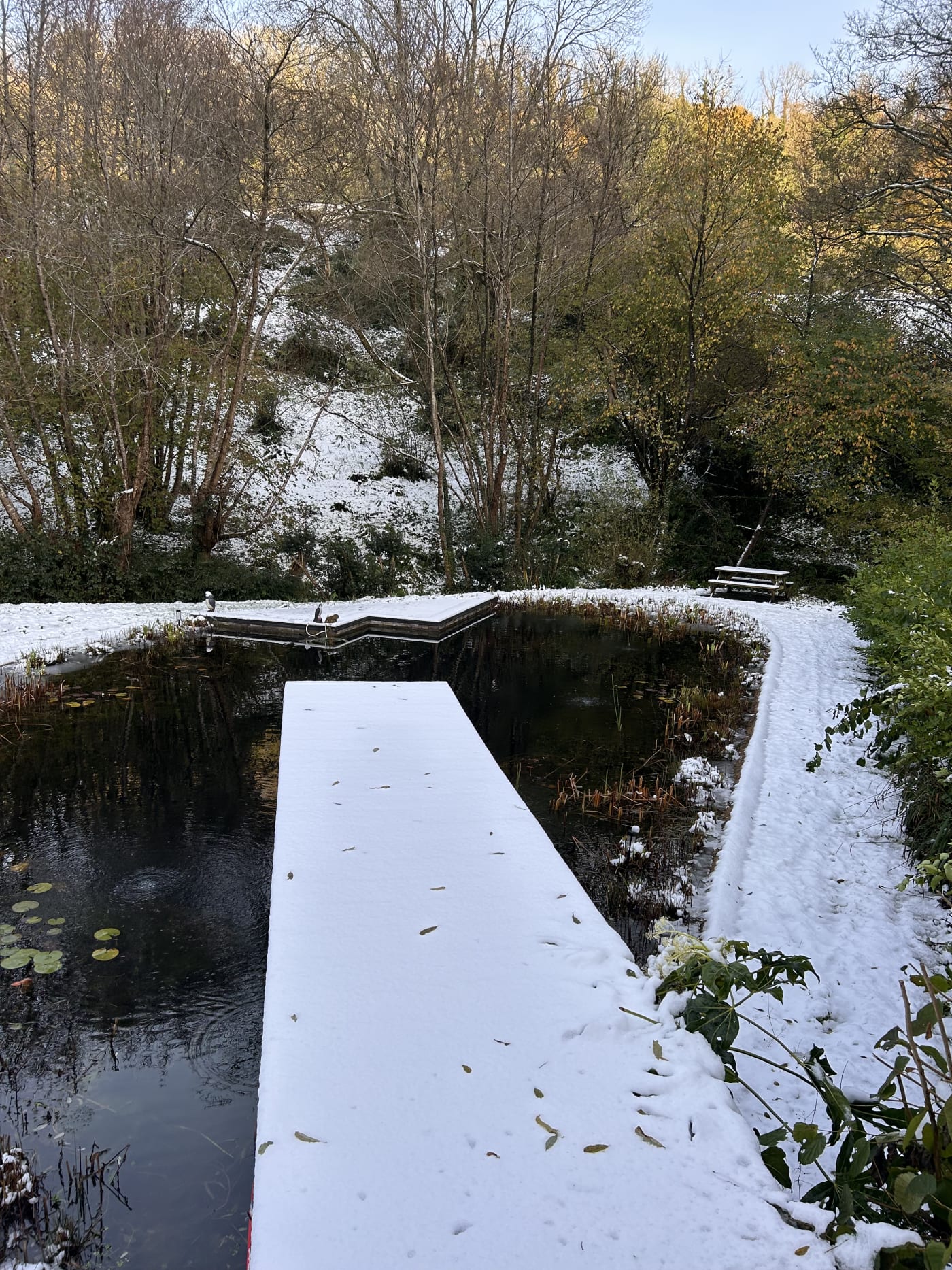 Wood-fired hot tub steaming beside the organic pond at Hole Mill in winter, Branscombe Devon