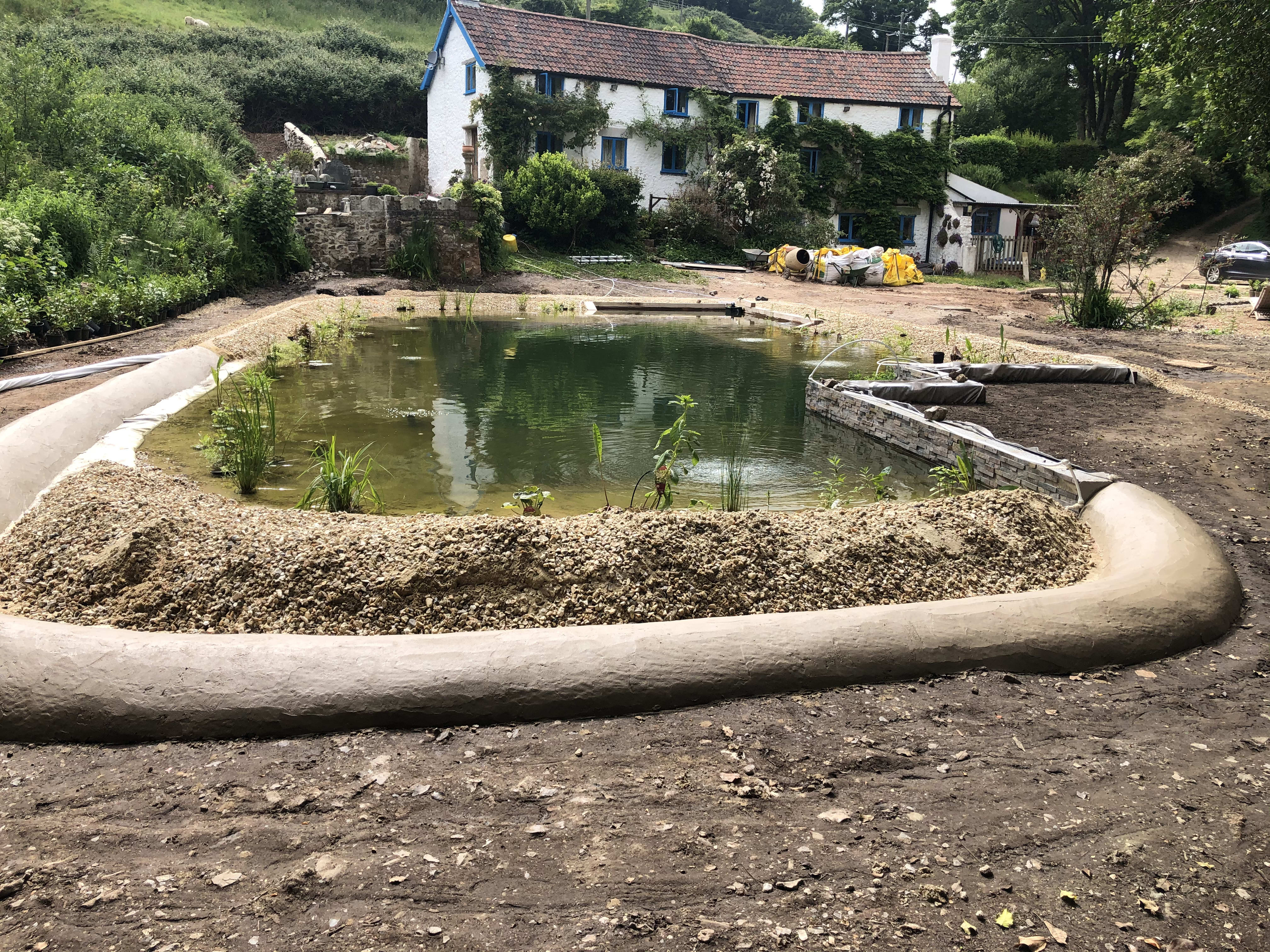 Filling and planting — building the organic swimming pond at Hole Mill, Branscombe, Devon — photo 6 of 6