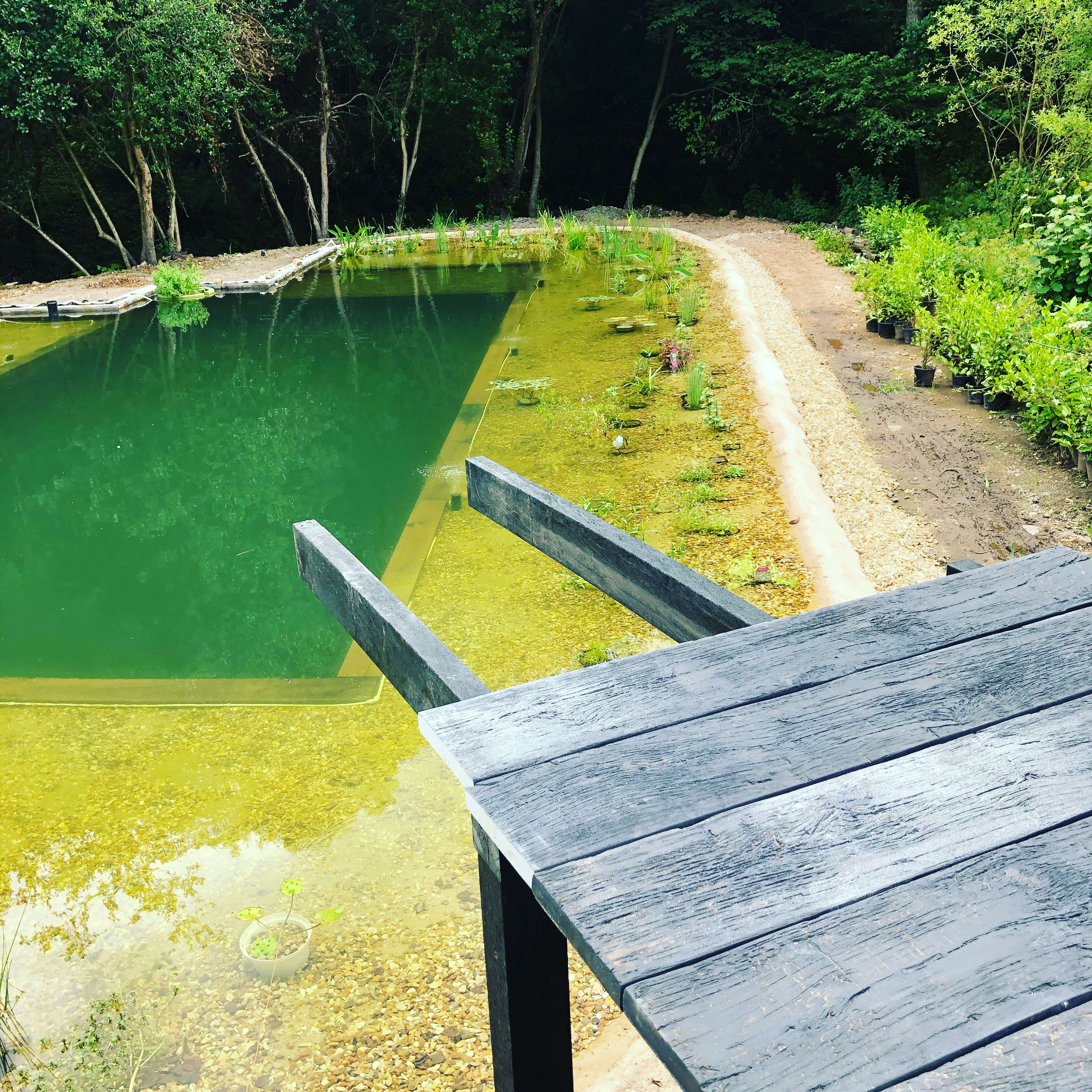 The jetty and steps — building the organic swimming pond at Hole Mill, Branscombe, Devon — photo 1 of 2