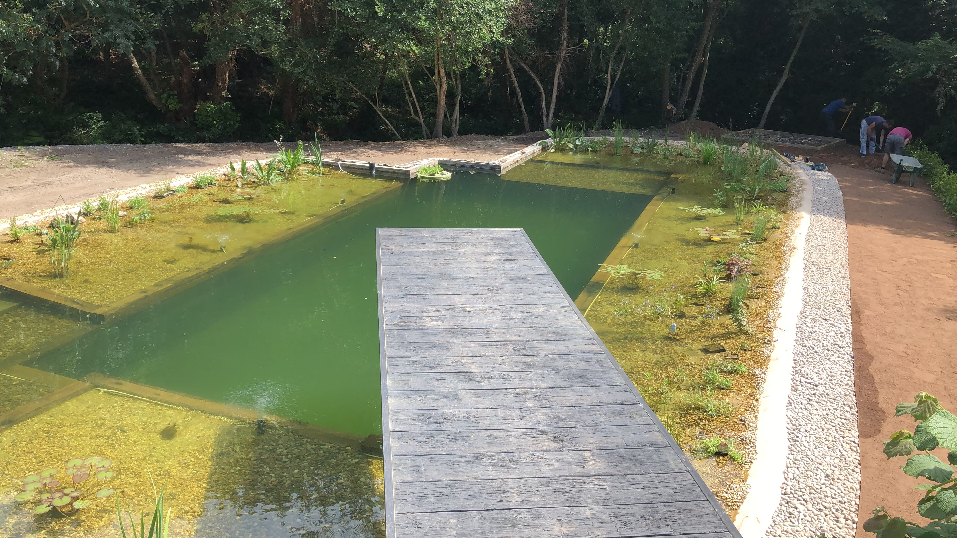 The jetty and steps — building the organic swimming pond at Hole Mill, Branscombe, Devon — photo 2 of 2