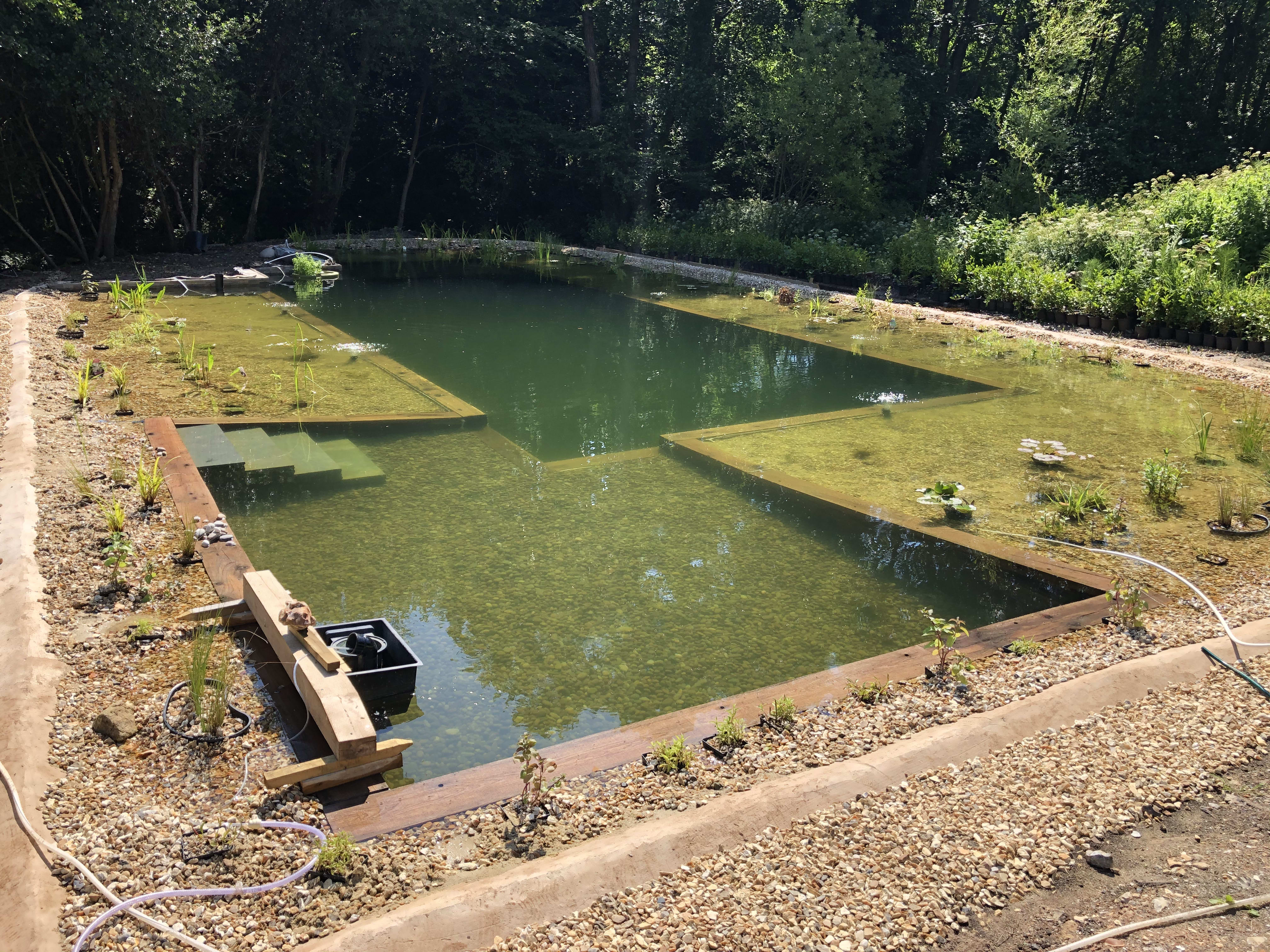 The first swim — building the organic swimming pond at Hole Mill, Branscombe, Devon
