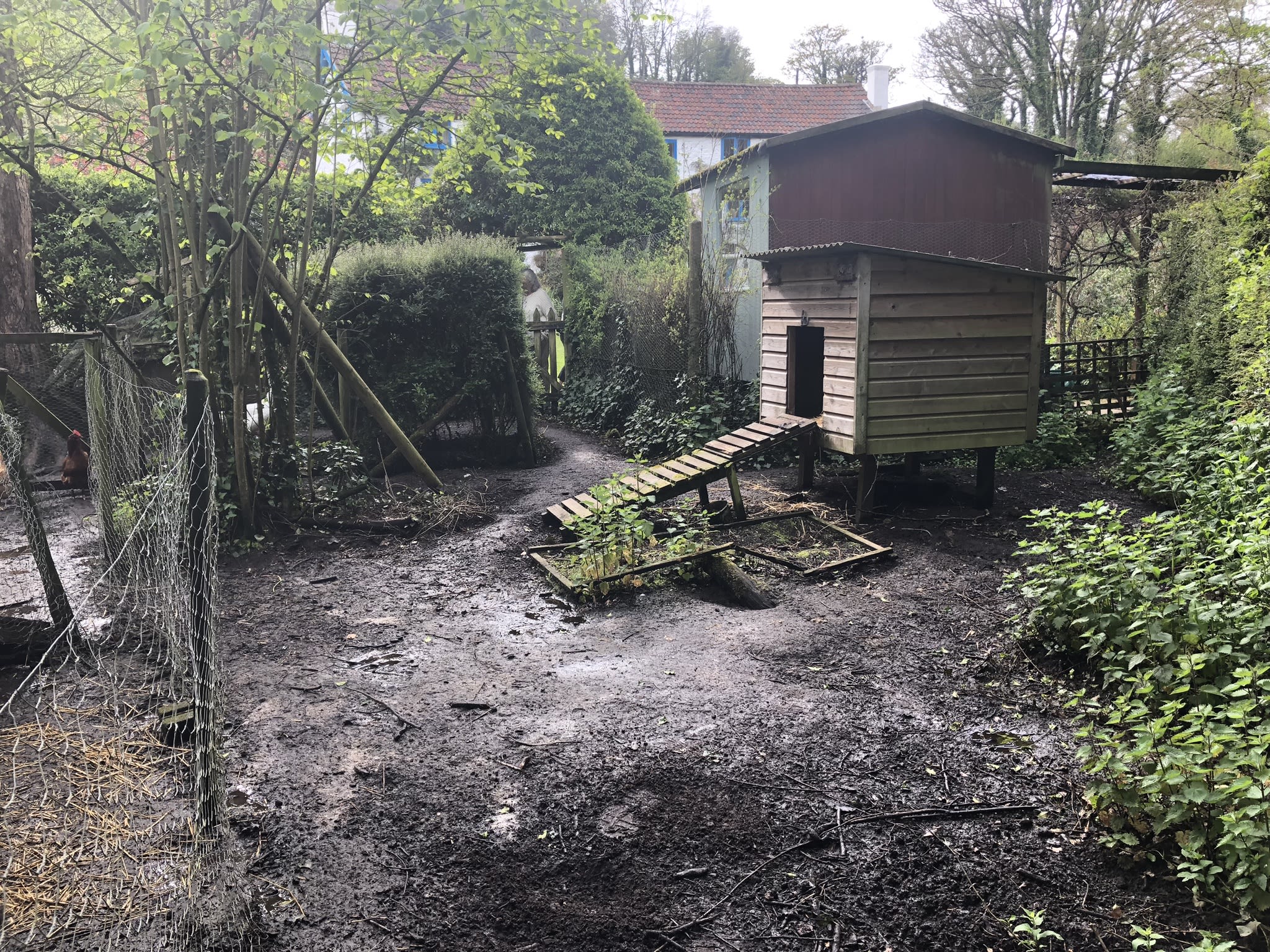 The vision — building the organic swimming pond at Hole Mill, Branscombe, Devon — photo 1 of 3