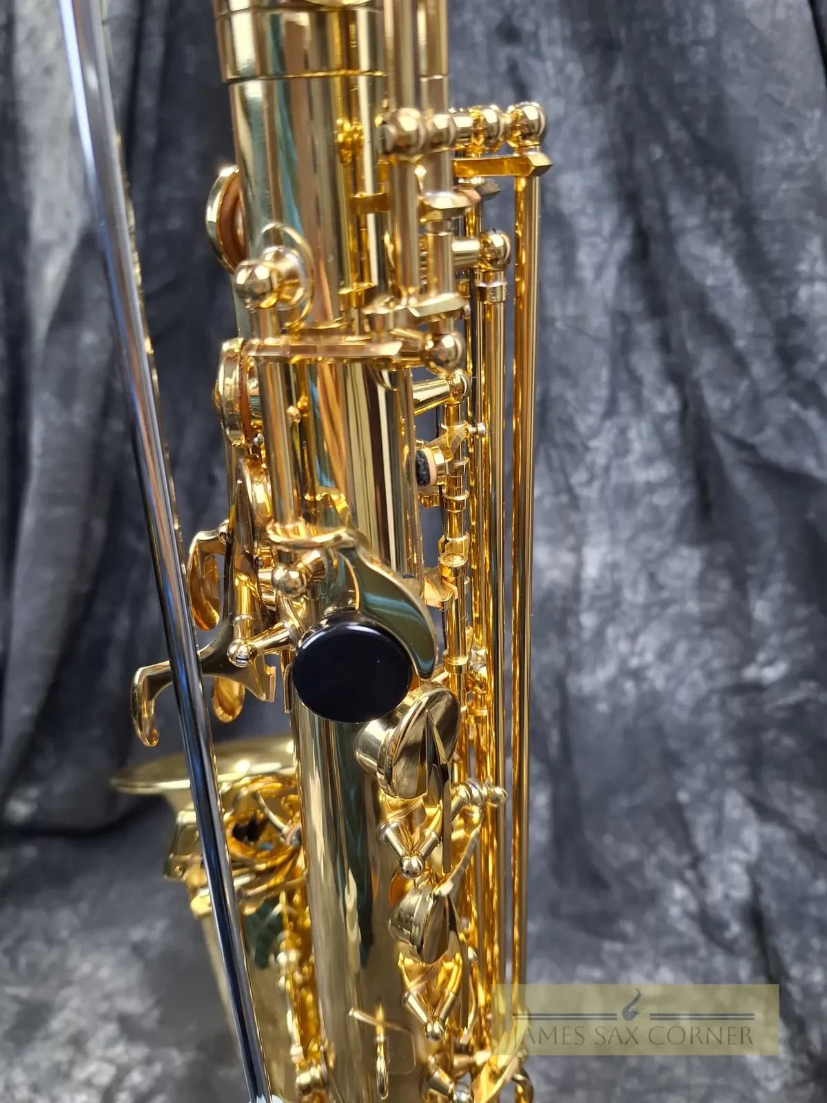 Selmer Reference 54 Hummingbird Charlie Parker Edition Alto Saxophone 9