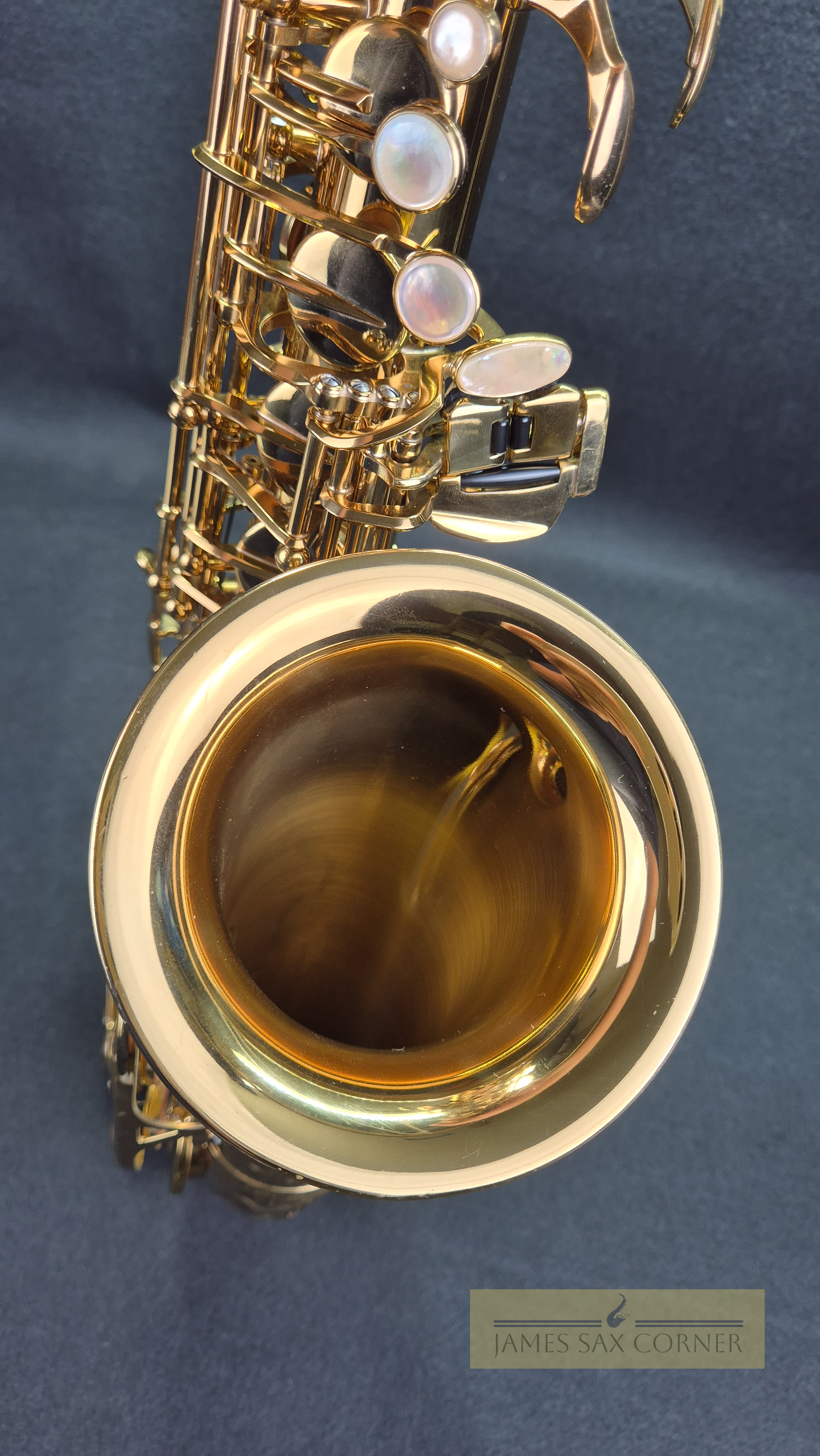 Selmer Super Action 80 Series III Julibiee Alto Saxophone SN 732XXX 15